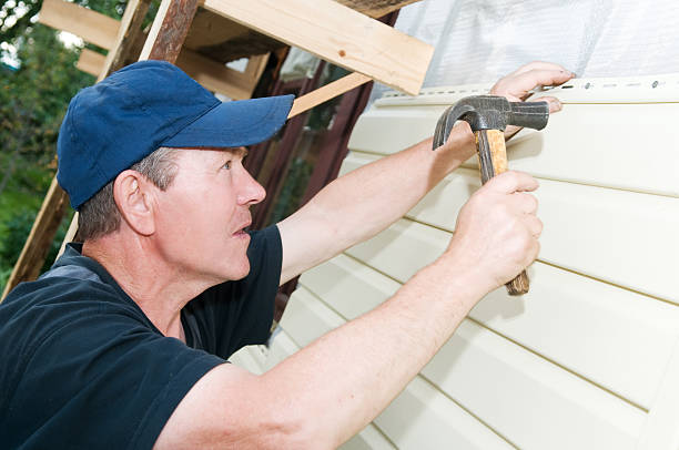 Best Custom Siding Design  in Detroit, MI
