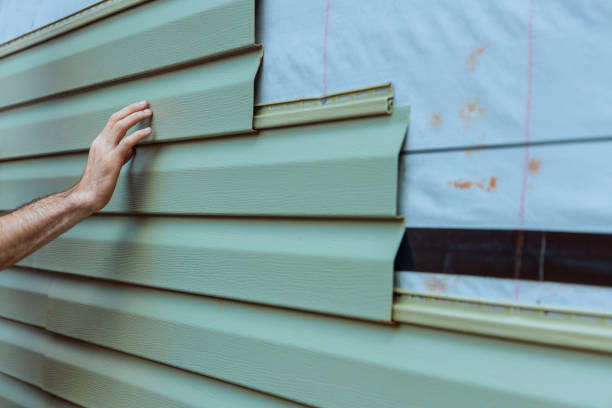 Best Fascia and Soffit Installation  in Detroit, MI